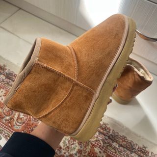 نیم بوت اگ