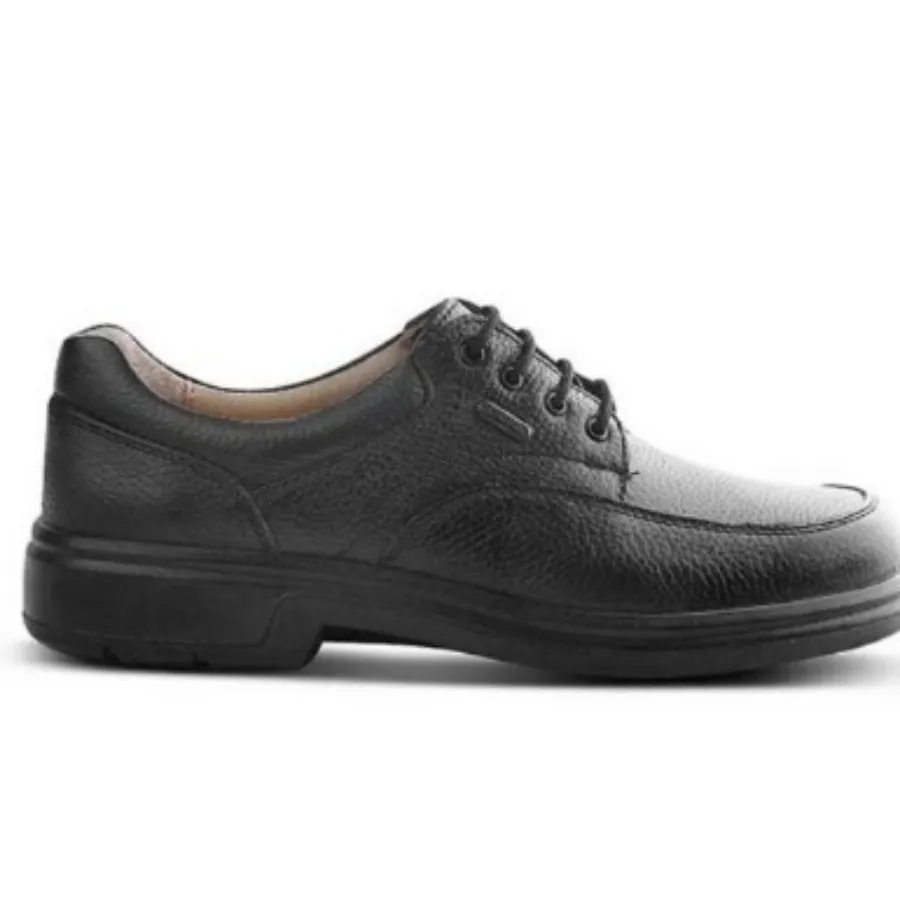 کفش مردانه البرز