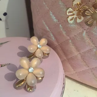 کلیپس زنانه