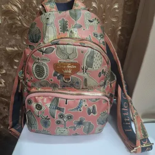 مینی کوله گلبهی