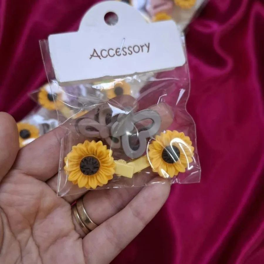 کلیپس و گیره