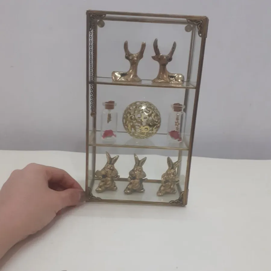 باکس ویترین