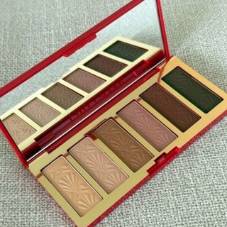 سایه استی لادر