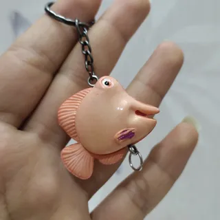 جا کلیدی ماهی
