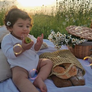 سبد رافیا