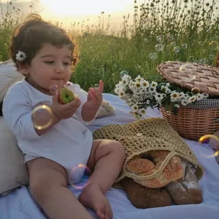 سبد رافیا