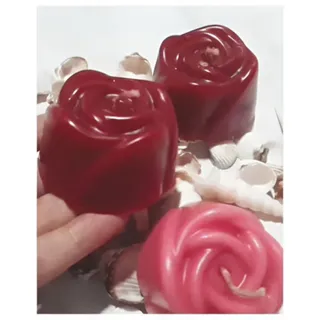 گل رز