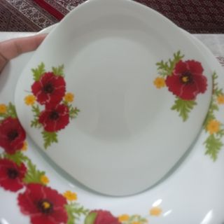 ارکوپال 12 نفره فرانسوا