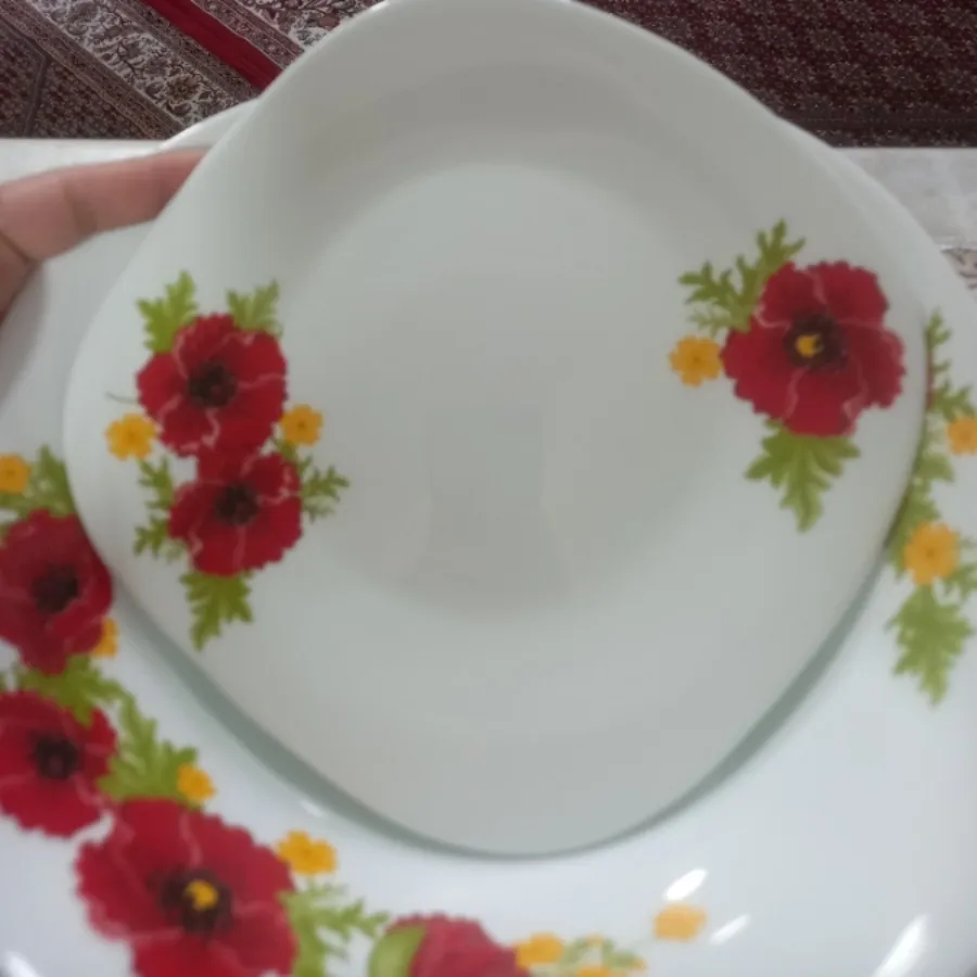 ارکوپال 12 نفره فرانسوا