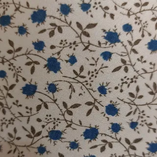 آباژور زیبا