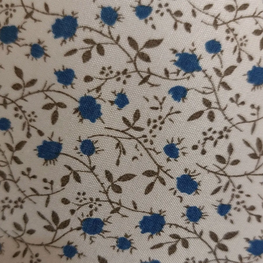 آباژور زیبا