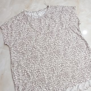 شومیزنخی