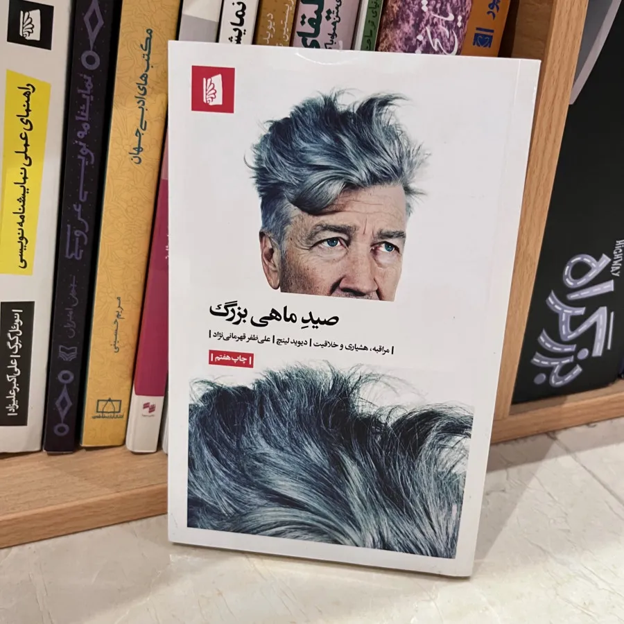 کتاب صید ماهی بزرگ