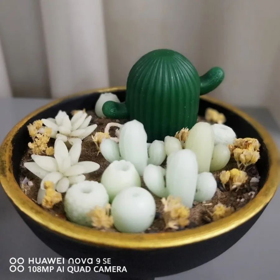 شمع باغچه کاکتوس