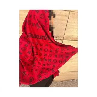 شال Louis Vuitton