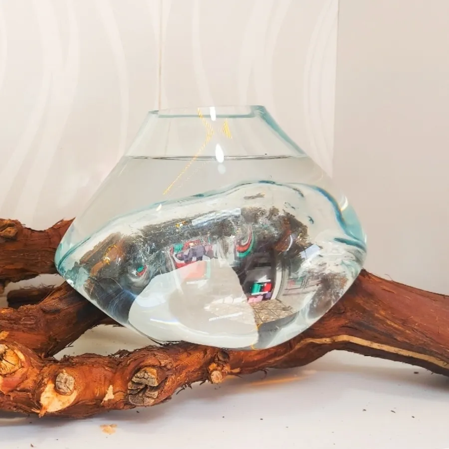 گلدان شیشه و چوب