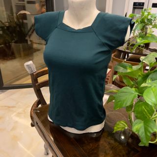 تیشرت کشی