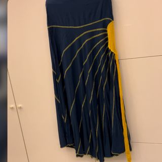 دامن مجلسی