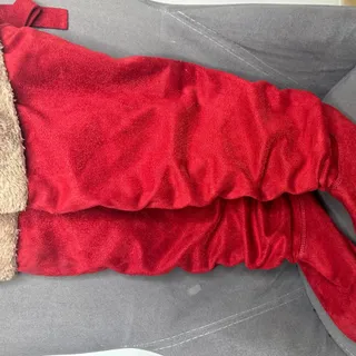 پوتین در حد قرمز