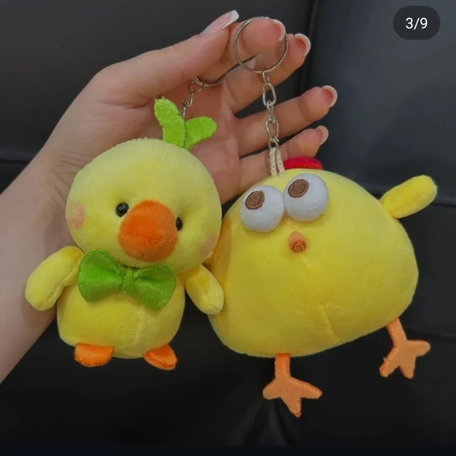 جا کلیدی جوجه