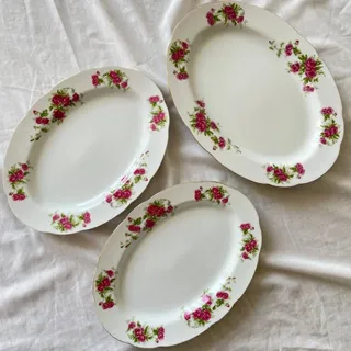 سه عدد دیس گلسرخی ژاپنی