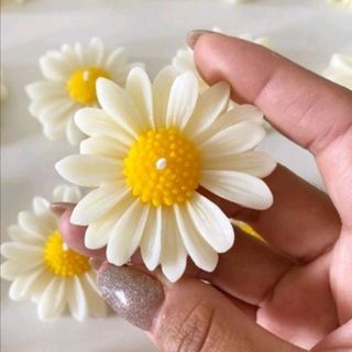 شمع بابونه