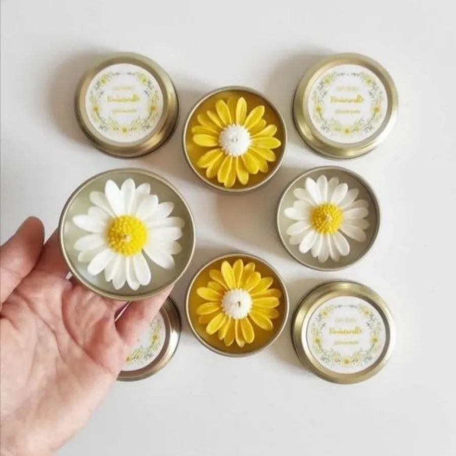 شمع مارگاریت/ بابونه