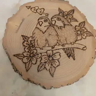 دیوار کوب طرح طوطی برزیلی