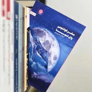 سفر کوانتومی وال تنها