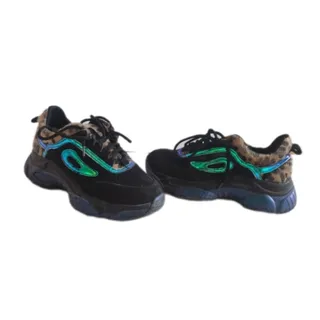 کتونی پلنگی