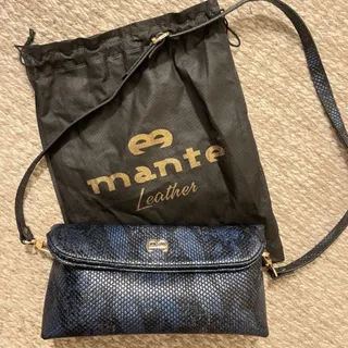 کیف مجلسی