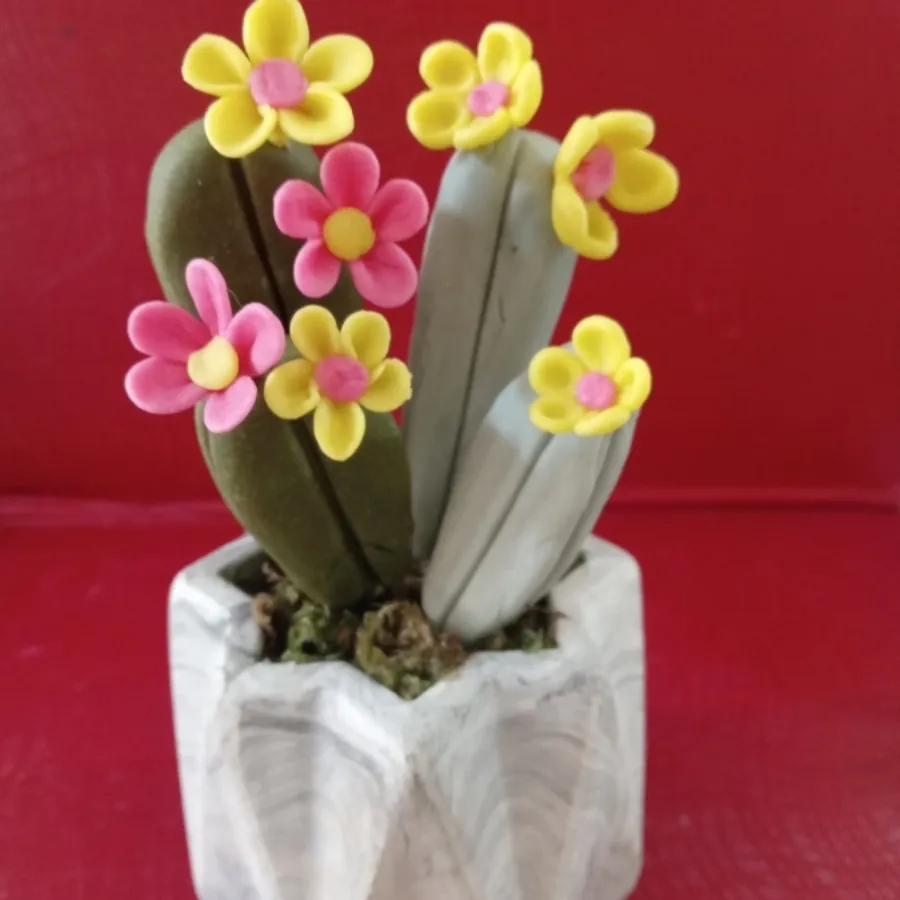 گل کاکتوس خمیری