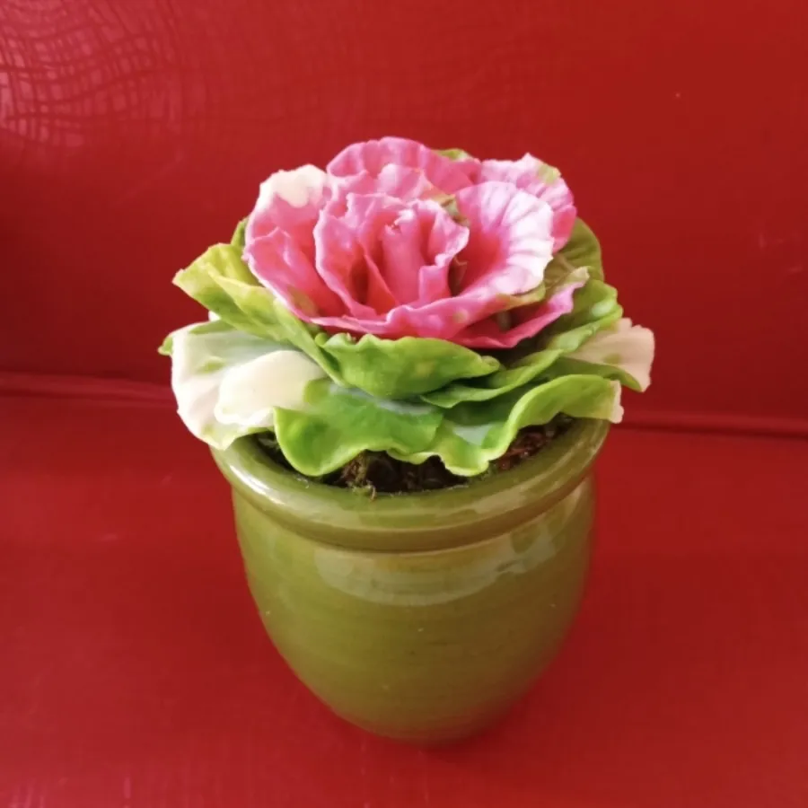 گل کاکتوس خمیری