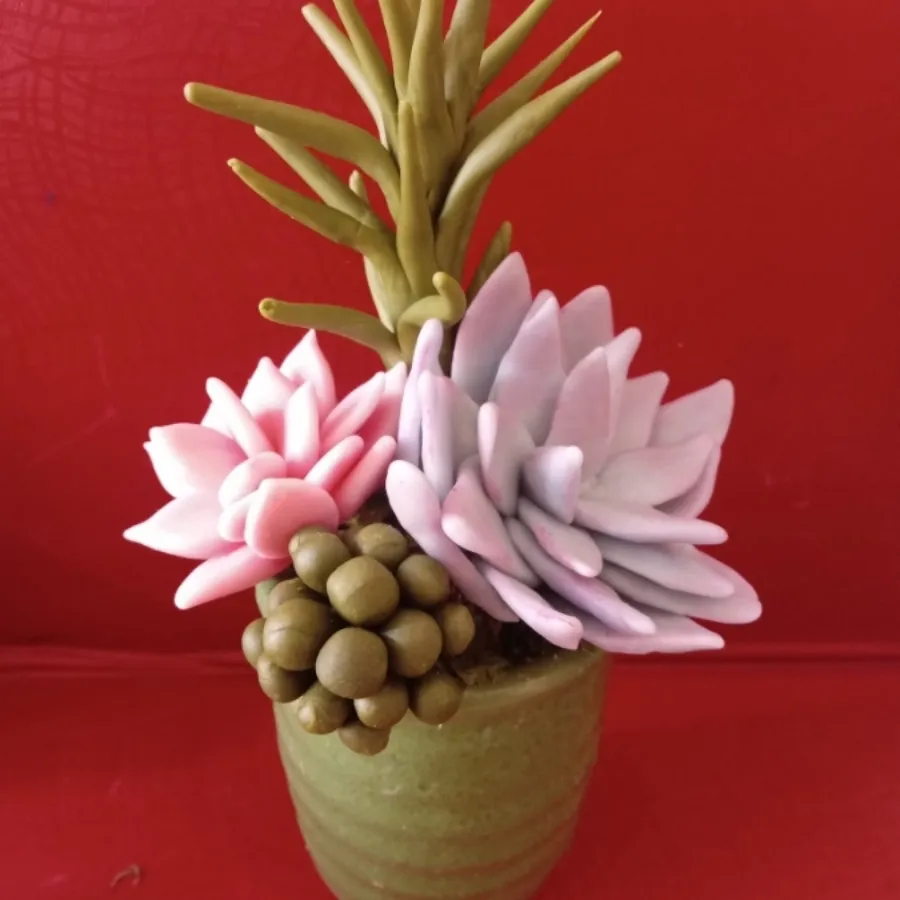 گل کاکتوس خمیری