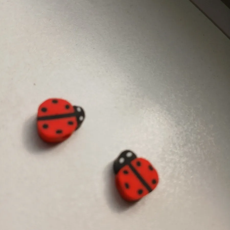 مهره ی کفشدوزک