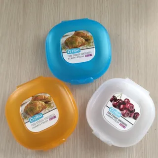 ظرف نگهدارنده