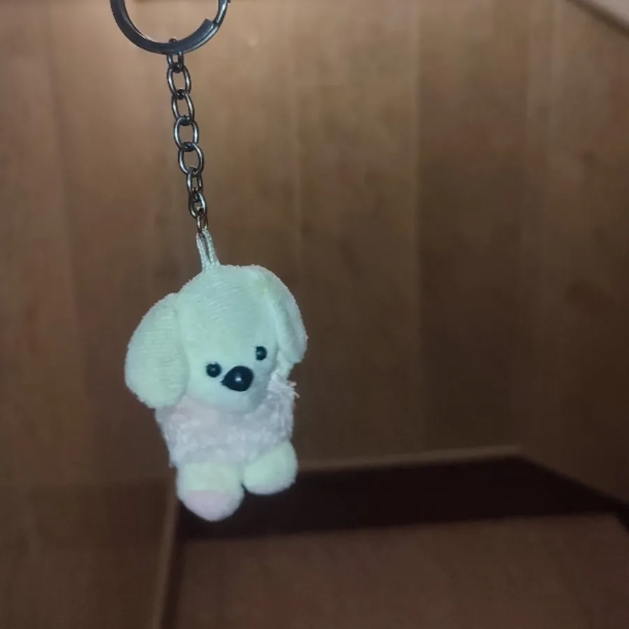 سر سویچ و سر جاکلیدی