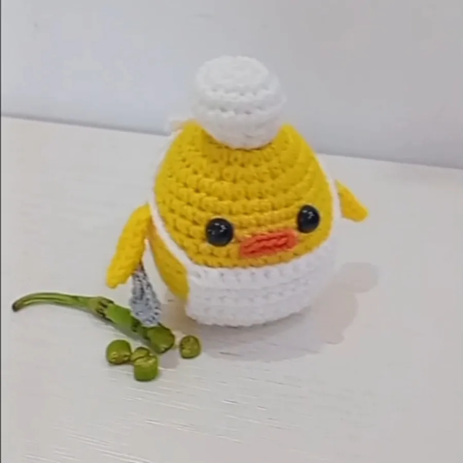 ✨️جوجه آشپزی قلاببافی?