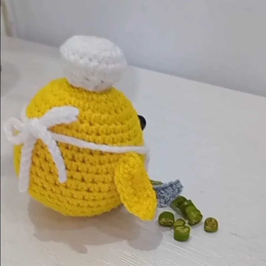 ✨️جوجه آشپزی قلاببافی?