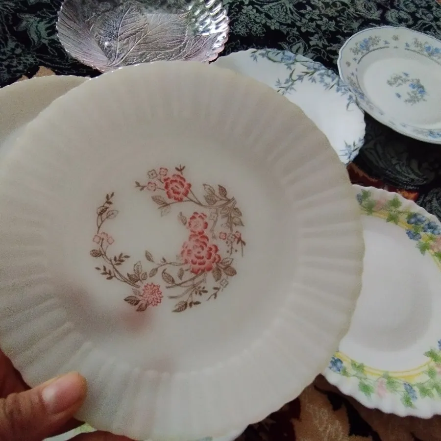 پیش دستی های آرکوپال