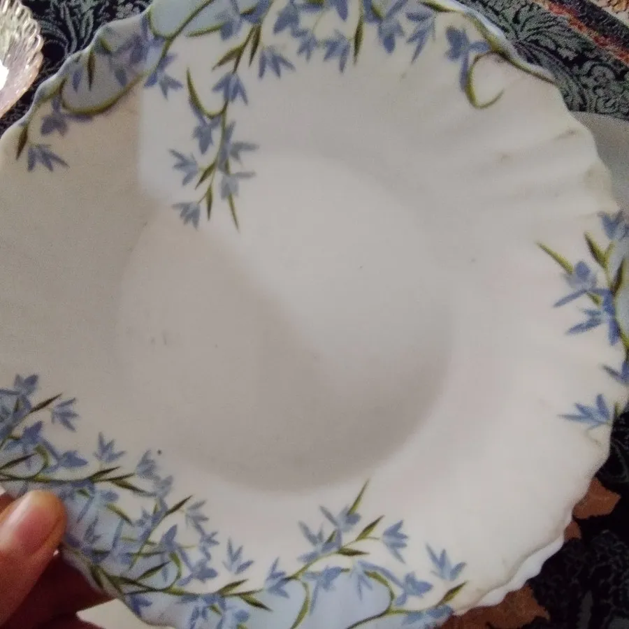 پیش دستی های آرکوپال