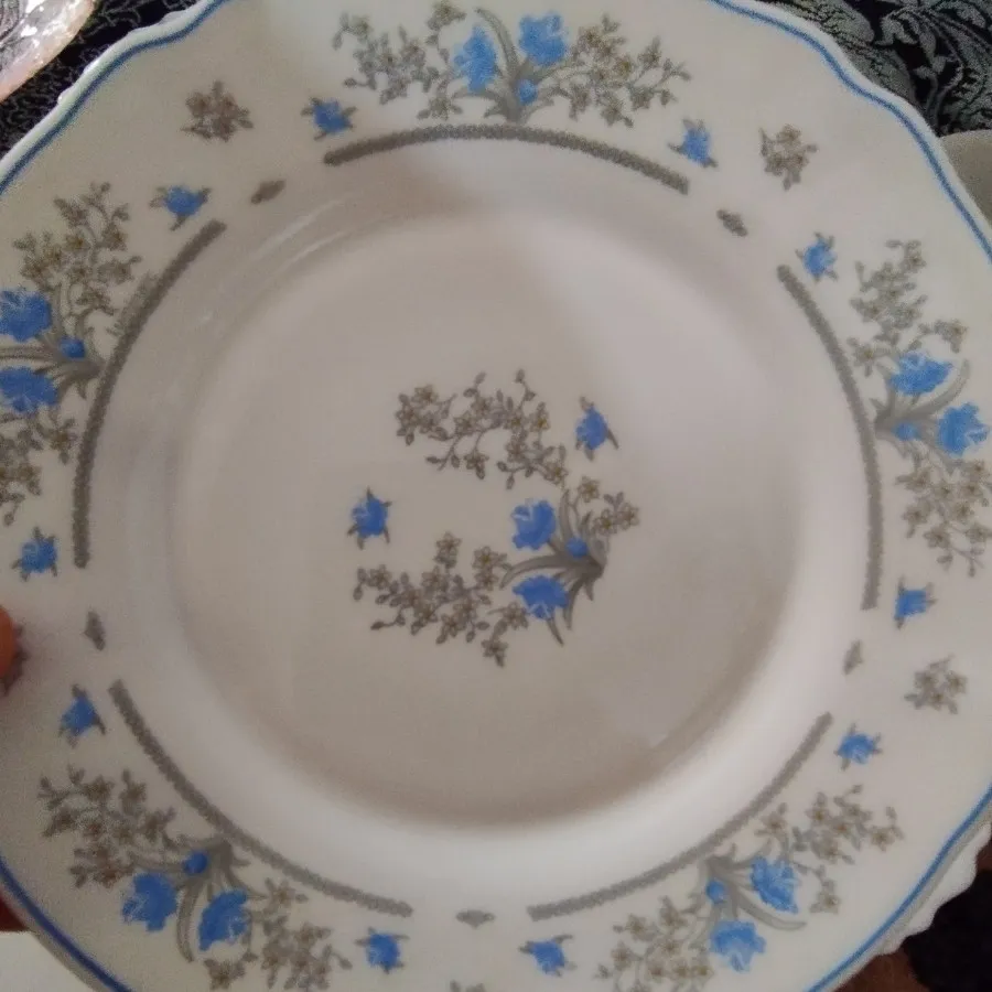 پیش دستی های آرکوپال