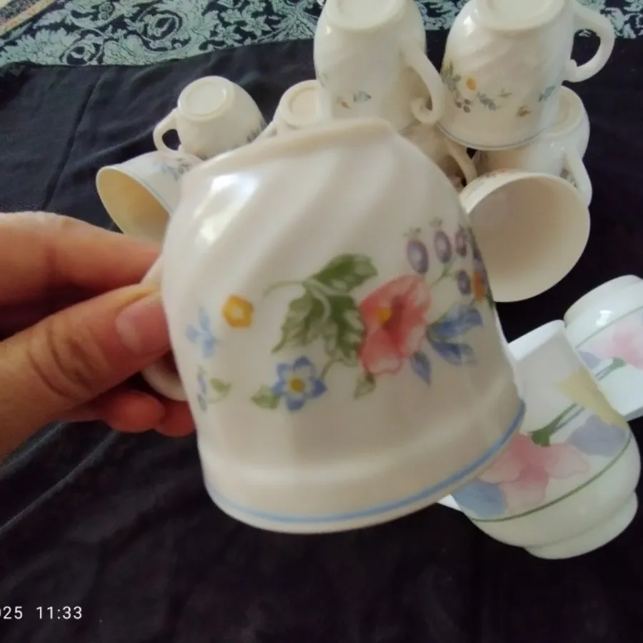 آرکوپال فرانسه