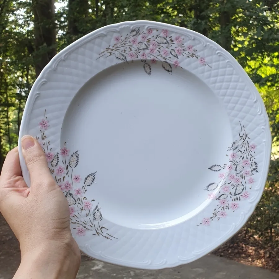 بشقاب و سرویس غذاخوری