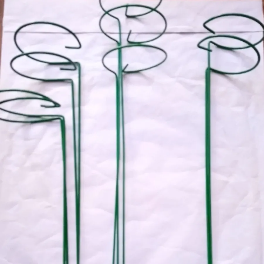 قیم نگهدارنده گیاه