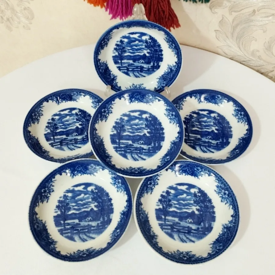 نعلبکی قلم آبی