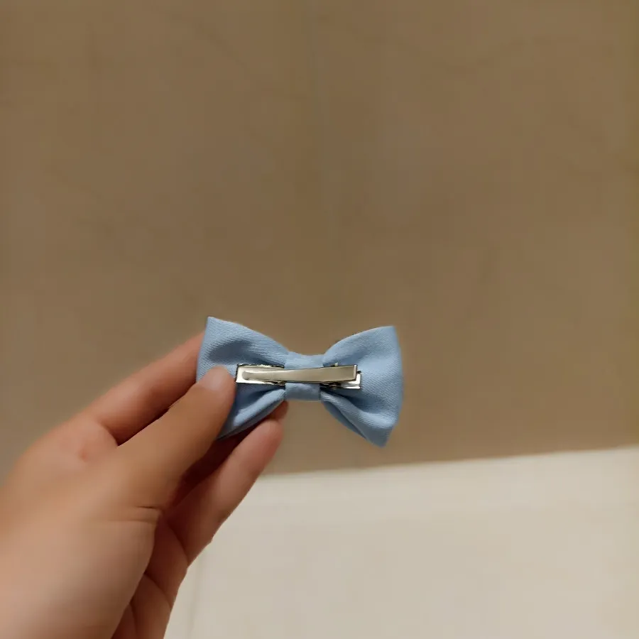 گیره پاپیونی کوچک