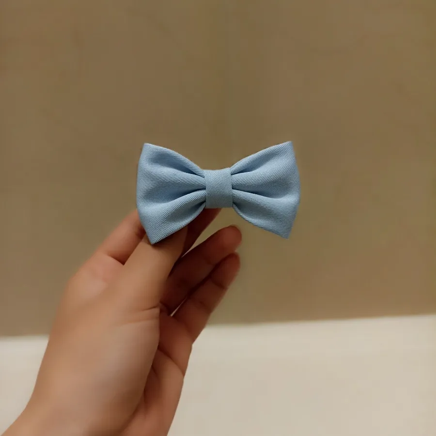 گیره پاپیونی کوچک