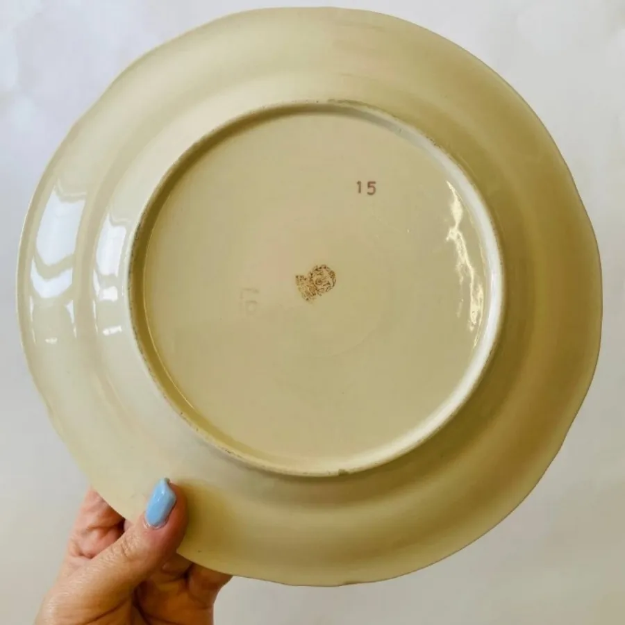 بشقاب و دیس دنسی