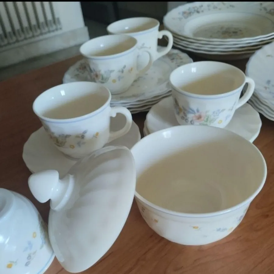 ظروف آرکوپال اصل فرانسه